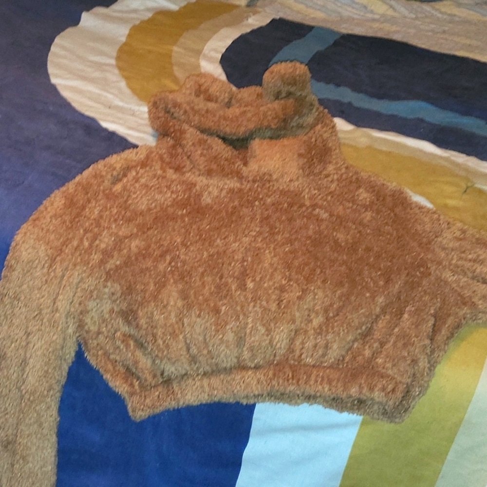 brown teddy bear crop top hoodie with lil ears on the hood. Too cute